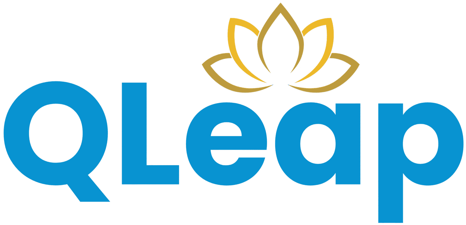 QLeap Education & Trainings - Logo